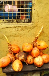 King Coconut are Orange