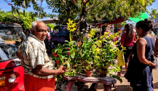 Orchid Seller