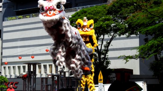 Chinese Dragon at SOGO Centre