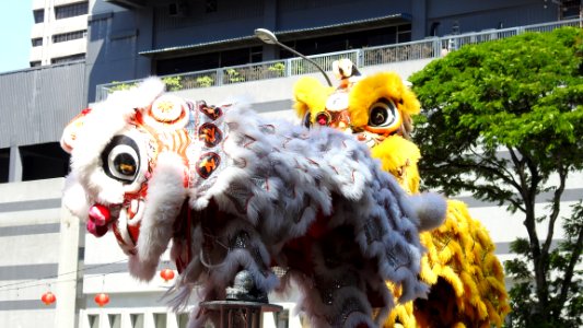 Chinese Dragon at SOGO Centre