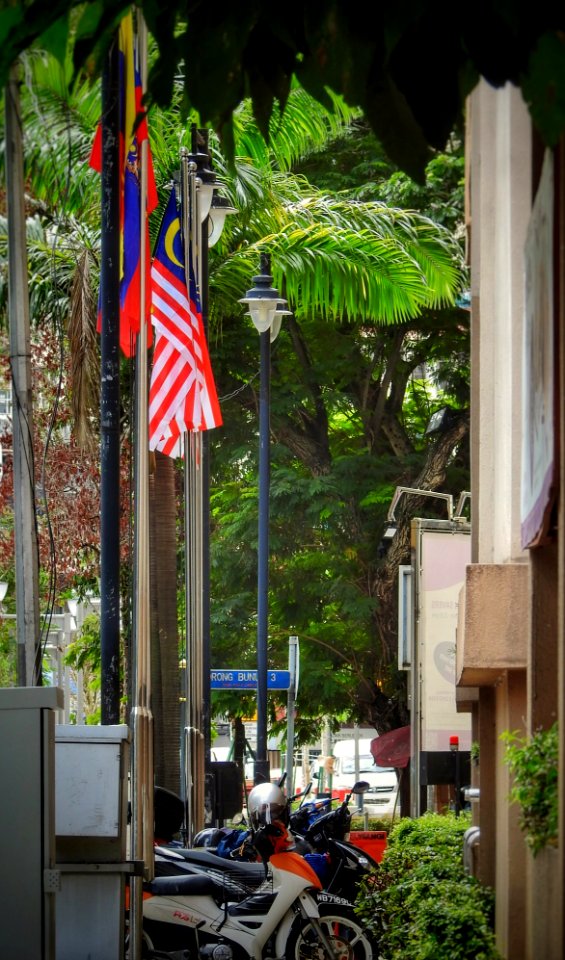 Malaysian Flag