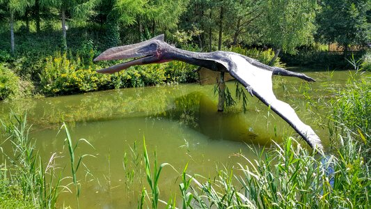 Pterosaur dinosaur mockup