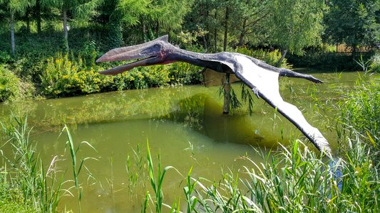 Pterosaur dinosaur mockup photo