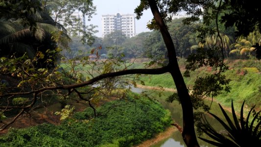 Gulshan Lake Park photo