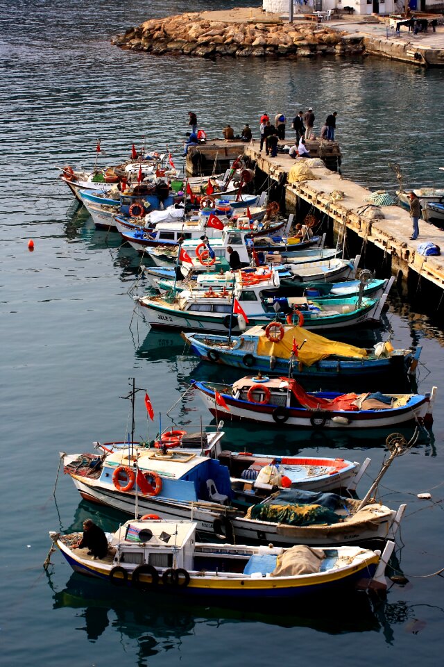 Marine nature the fishermen