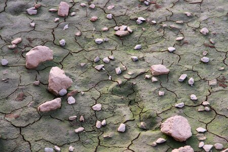 Aridity mud quartered