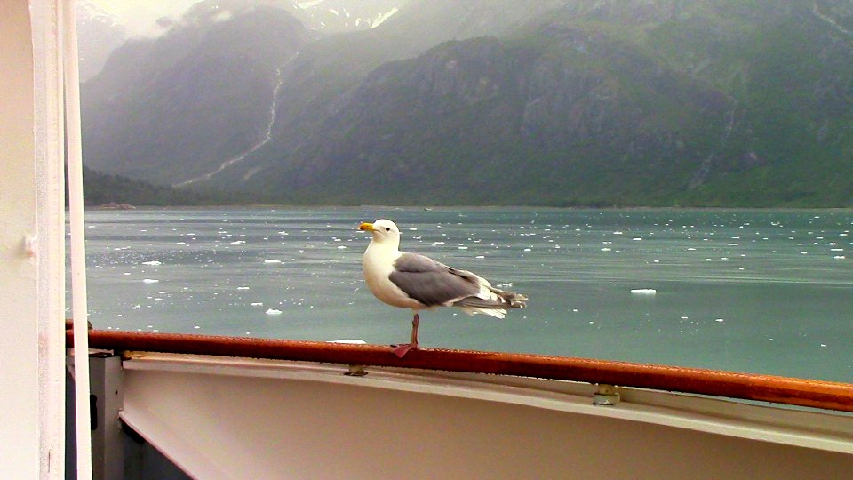 Alaska Cruise