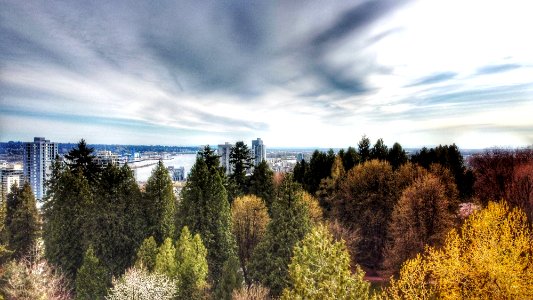 Above Tipperary Park