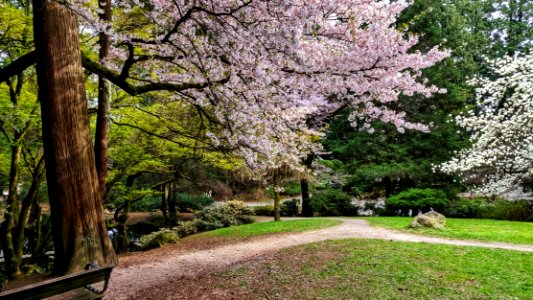 Tipperary Park, #NewWest