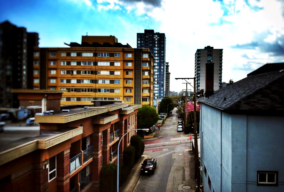 A Forgettable Street