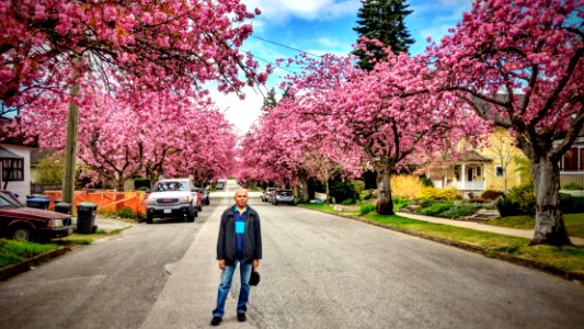 St. Patrick's Street in April