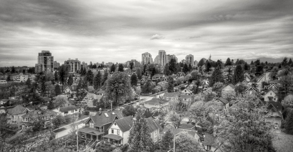 New Picture, Old Neighbourhood