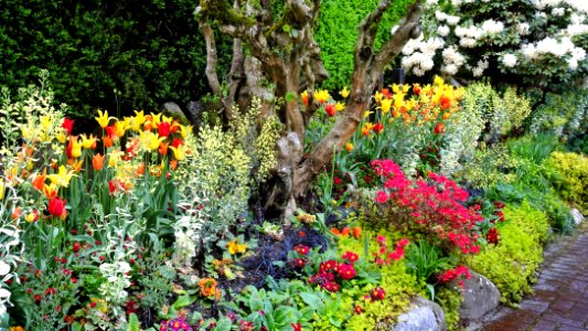 Wall of Flowers photo