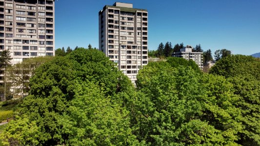 Above the Treeline