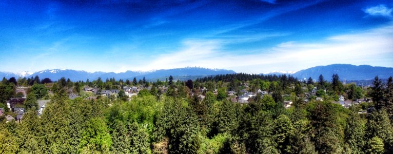 Peeking Over Tipperary Park photo