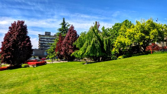 City Hall Lawn