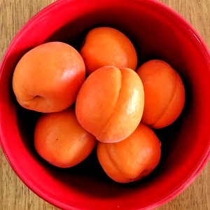 Apricots photo