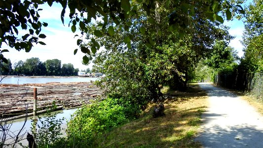 Burnaby Park Trails