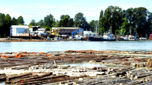 The Working Fraser River photo