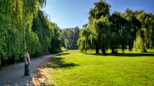 Lower Hume Park