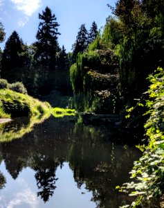 Lazy August River