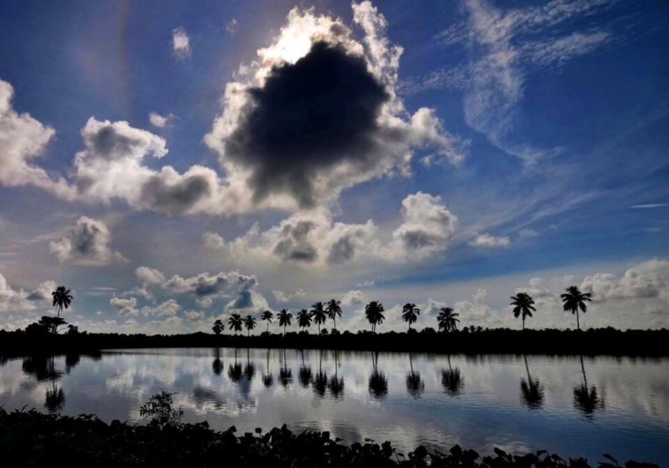 Sunrise sun landscape