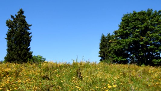 New Westminster's Queen's Park