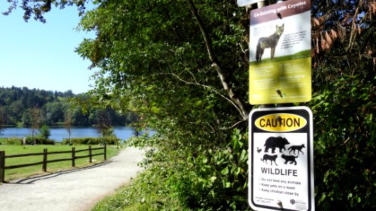 Burnaby's Deer Lake