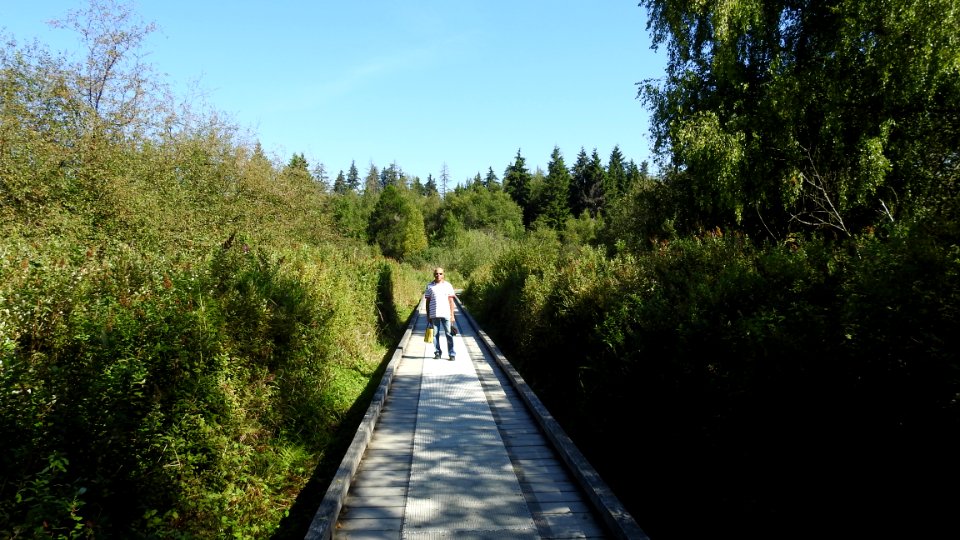 Burnaby's Deer Lake