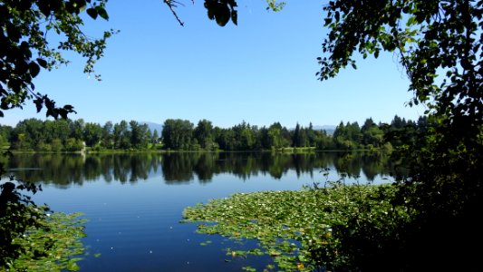 Burnaby's Deer Lake