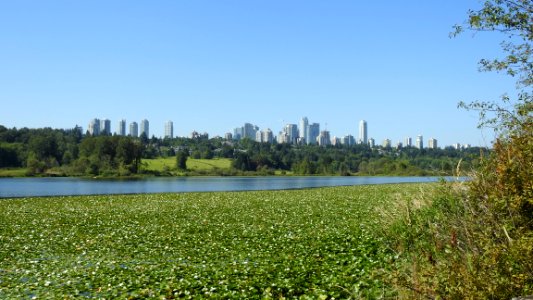 Burnaby's Deer Lake