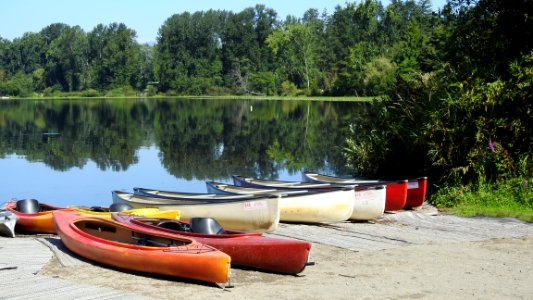 Burnaby's Deer Lake