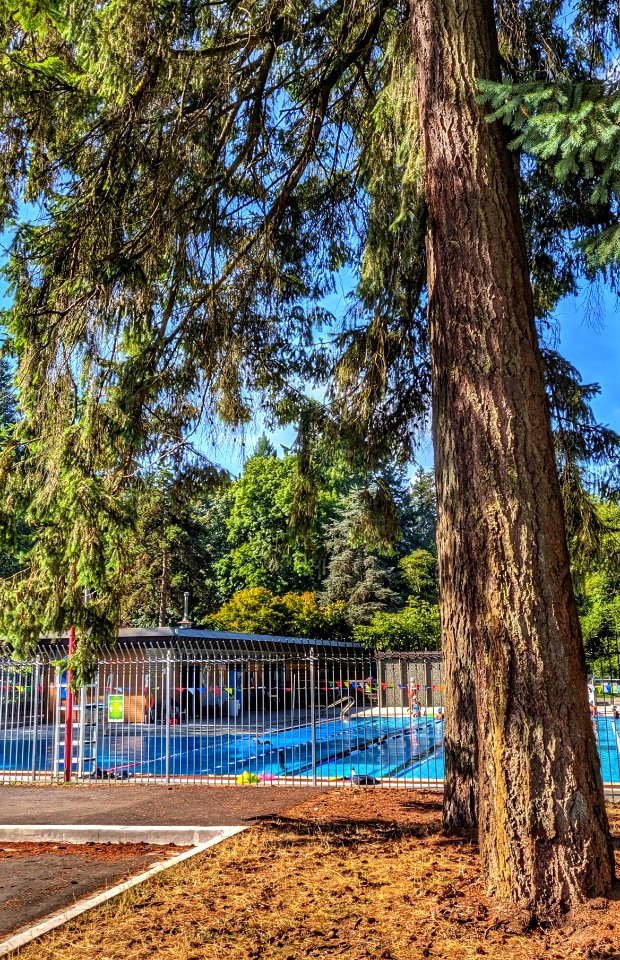 Public Swimming Pool