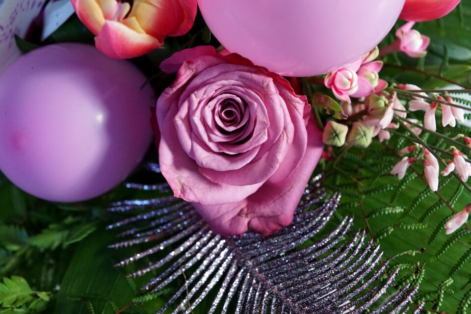 Strauss luftbalon spring
