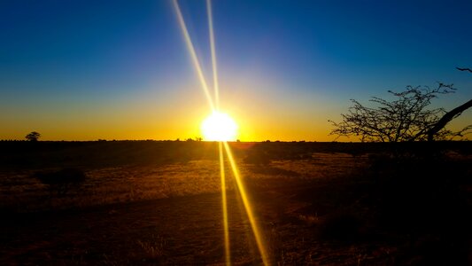 Kalahari desert desert nature
