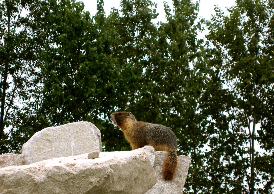 2005_05_21