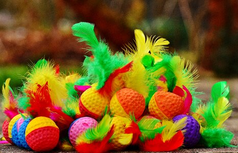 Toys cat play