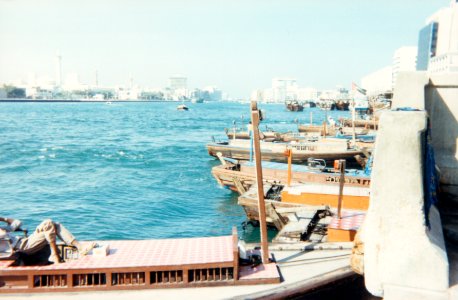 UAE Snapshots