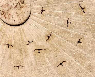 Sun sky birds are flying art