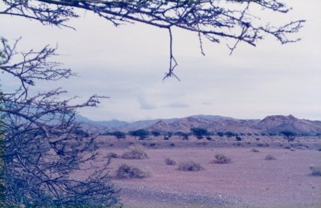 UAE Snapshots