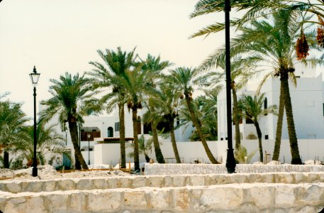 Life in Bahrain