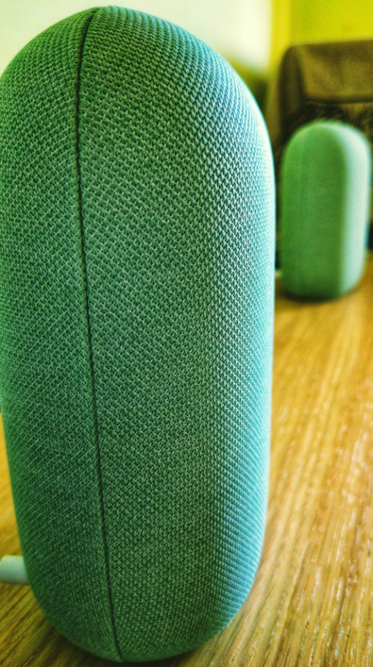 A Pair of Nest Speakers in Sage