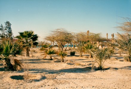 Life in Bahrain
