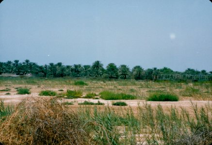 Life in Bahrain