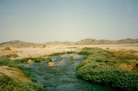 Saudi Snapshots