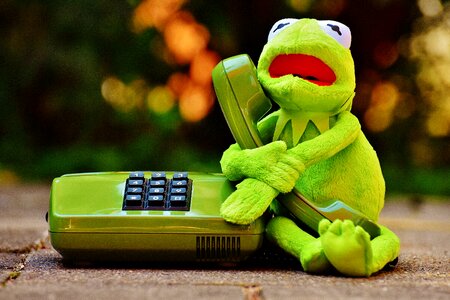 Figure funny frogs