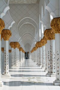 Reforms abu dhabi human rights