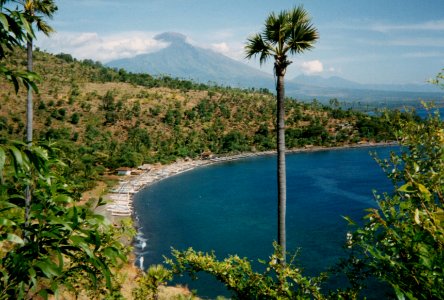 Indonesia 1992-0072
