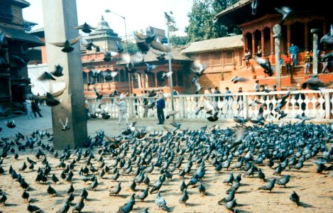 Nepal-0002 photo