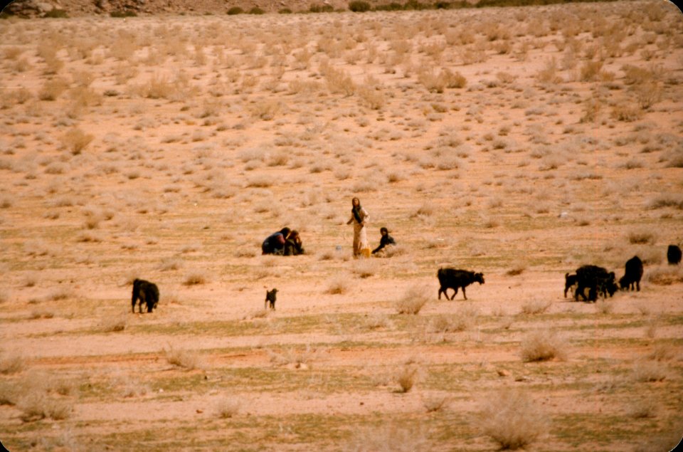 Trip to Jordan and Syria-0059